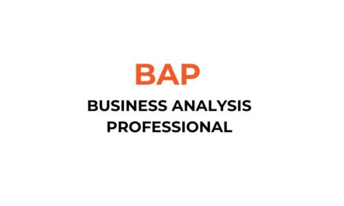 Business Analysis Professional