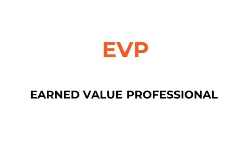 Earned Value Professional