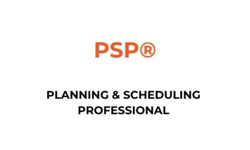 Planning & Scheduling Professional